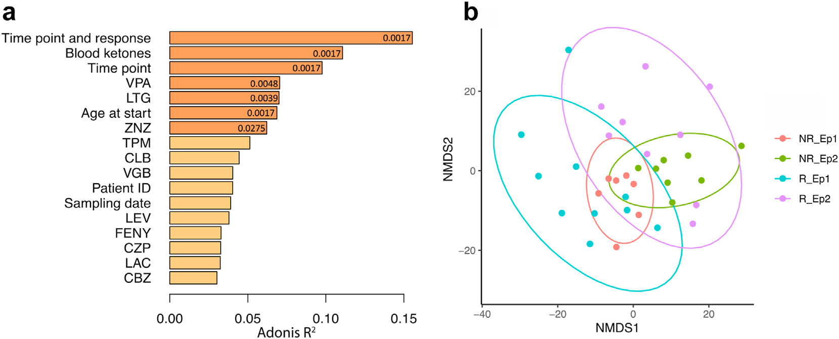 PERMANOVA analysis showing blood ketones as top predictor of seizure response