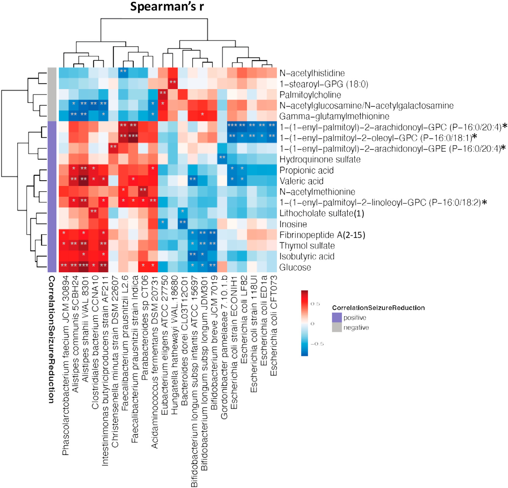 Spearman correlation heatmap showing gut microbiota species correlated with seizure reduction