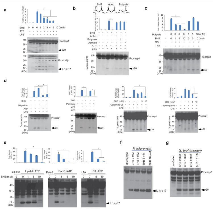 NLRP3 Inhibition by BHB