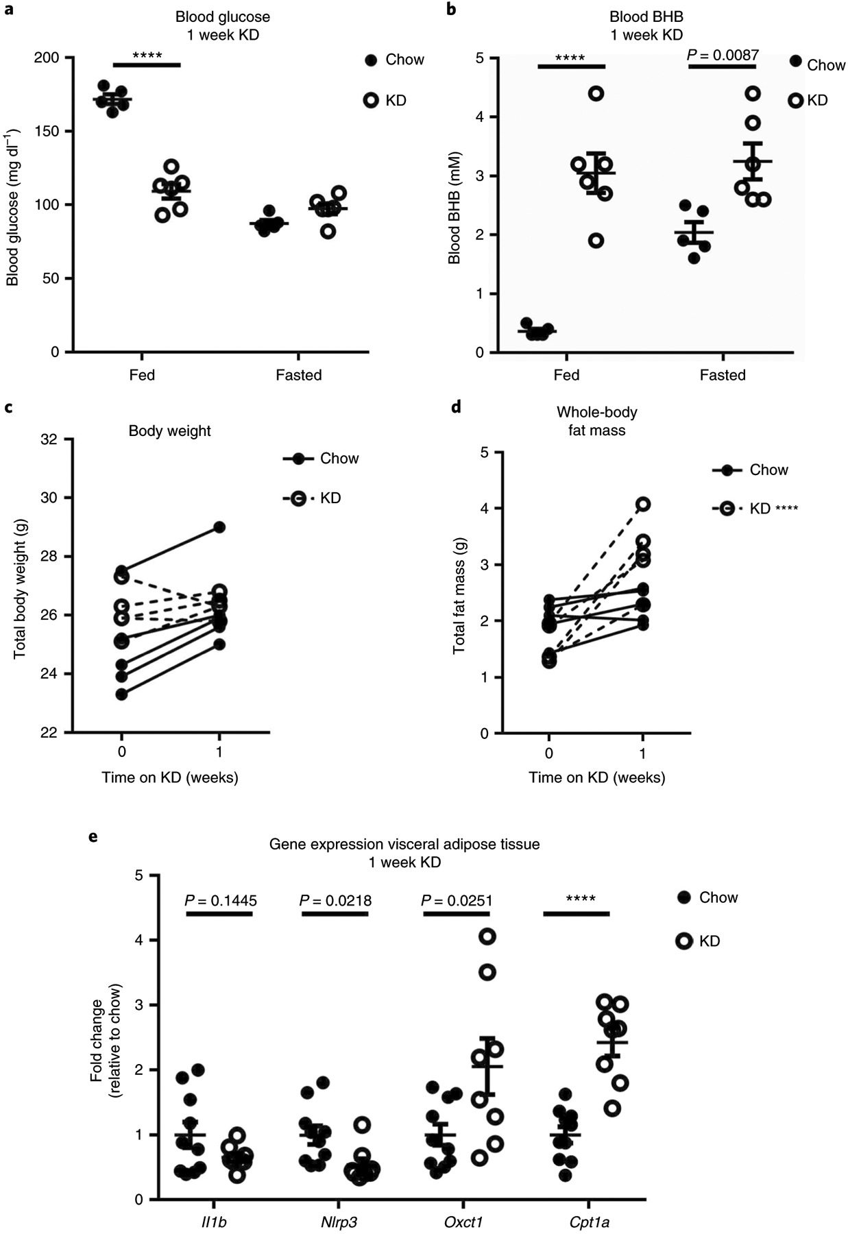 KD Effects on BHB and Inflammation