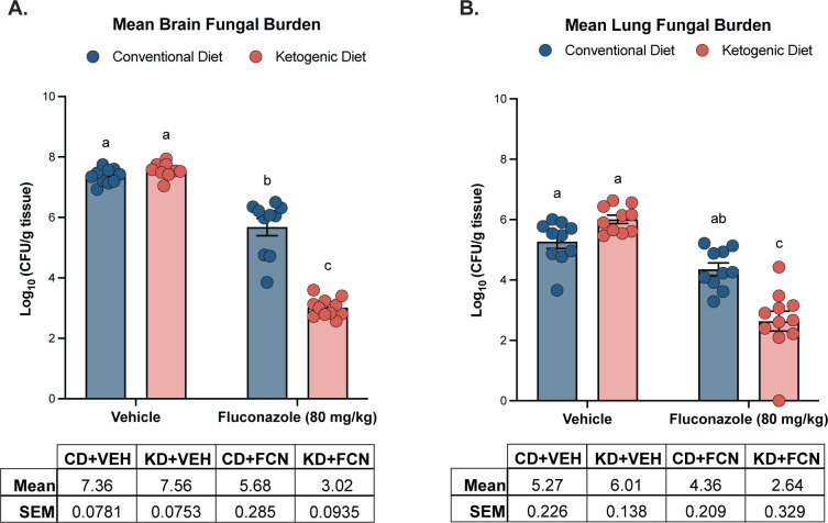 Brain and Lung Fungal Burden Reduction
