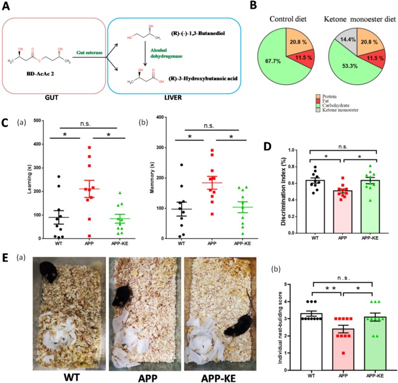BD-AcAc2 restores cognitive and behavioral function in APP mice