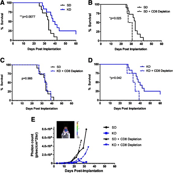KD Reduces PD-1, CTLA-4, PD-L1