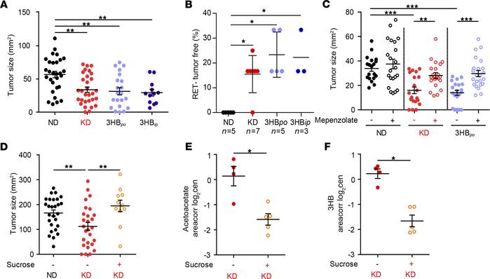 3HB Dose-Response and Sucrose Control
