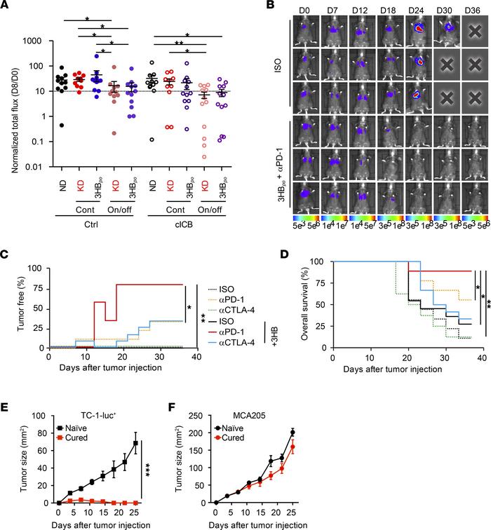 Ferrere Figure 8: >70% Tumor Eradication