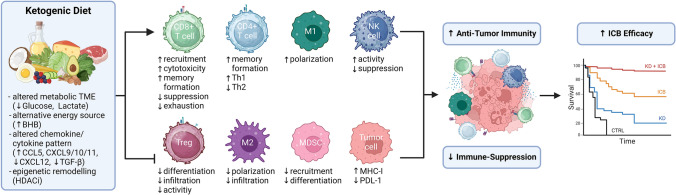KD Immune Reprogramming Mechanism